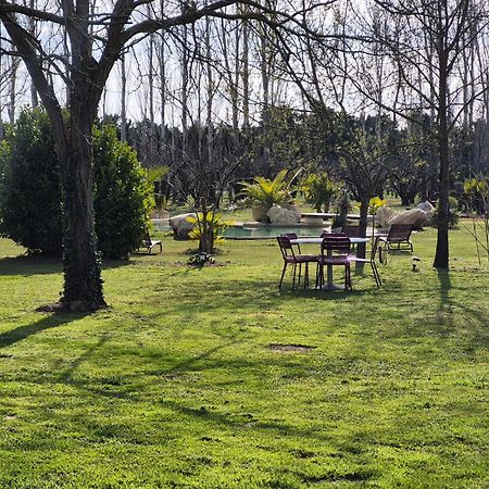 Le Mas Des Cerisiers Jacuzzi Et Sauna Inclus Pour Tous Les Logements Avignon Bagian luar foto
