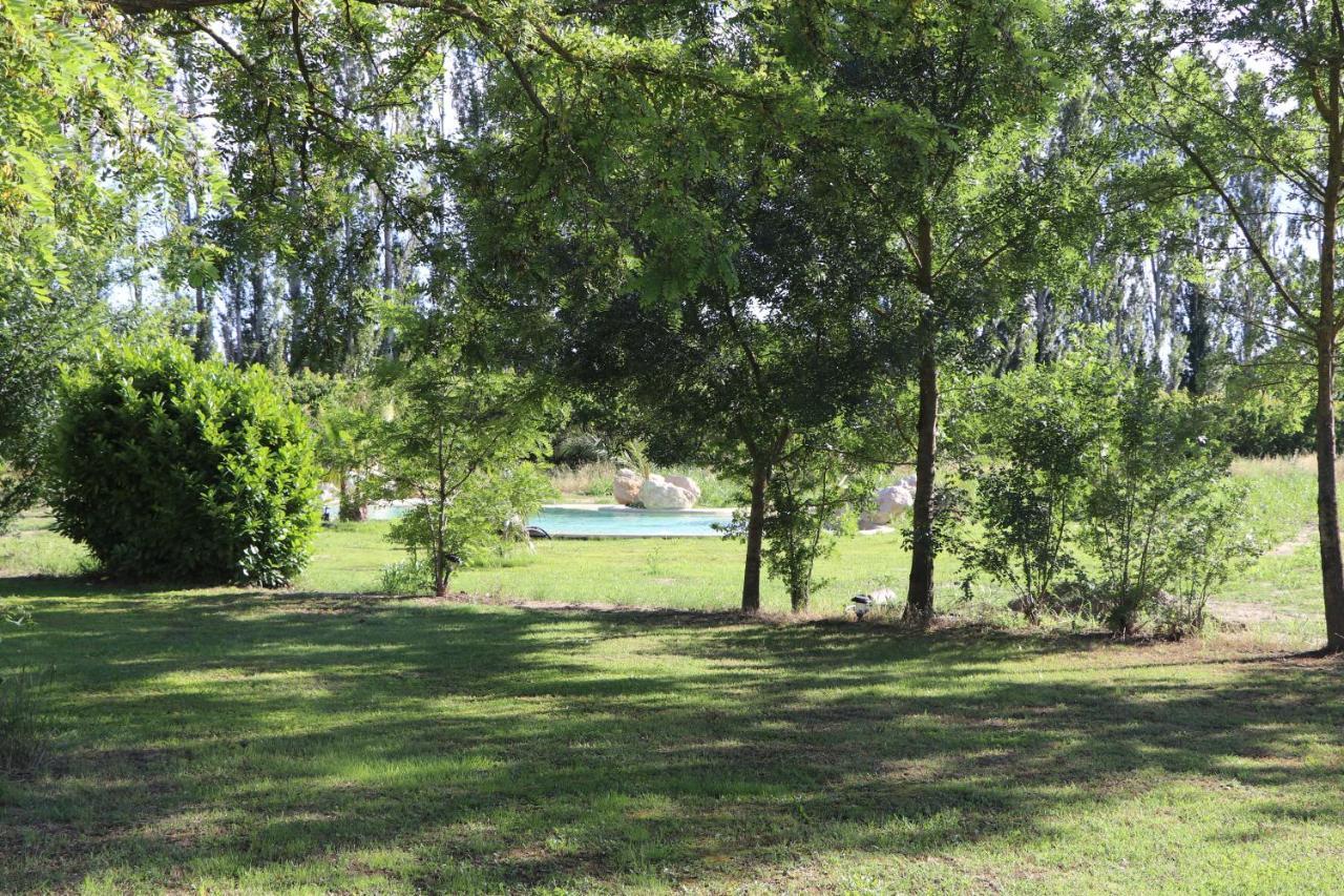 Le Mas Des Cerisiers Jacuzzi Et Sauna Inclus Pour Tous Les Logements Avignon Bagian luar foto