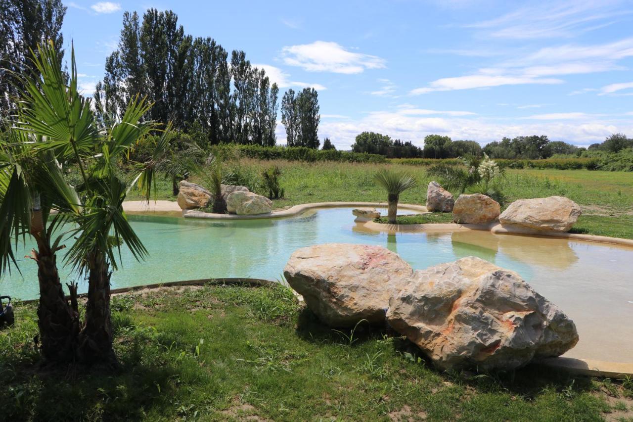 Le Mas Des Cerisiers Jacuzzi Et Sauna Inclus Pour Tous Les Logements Avignon Bagian luar foto