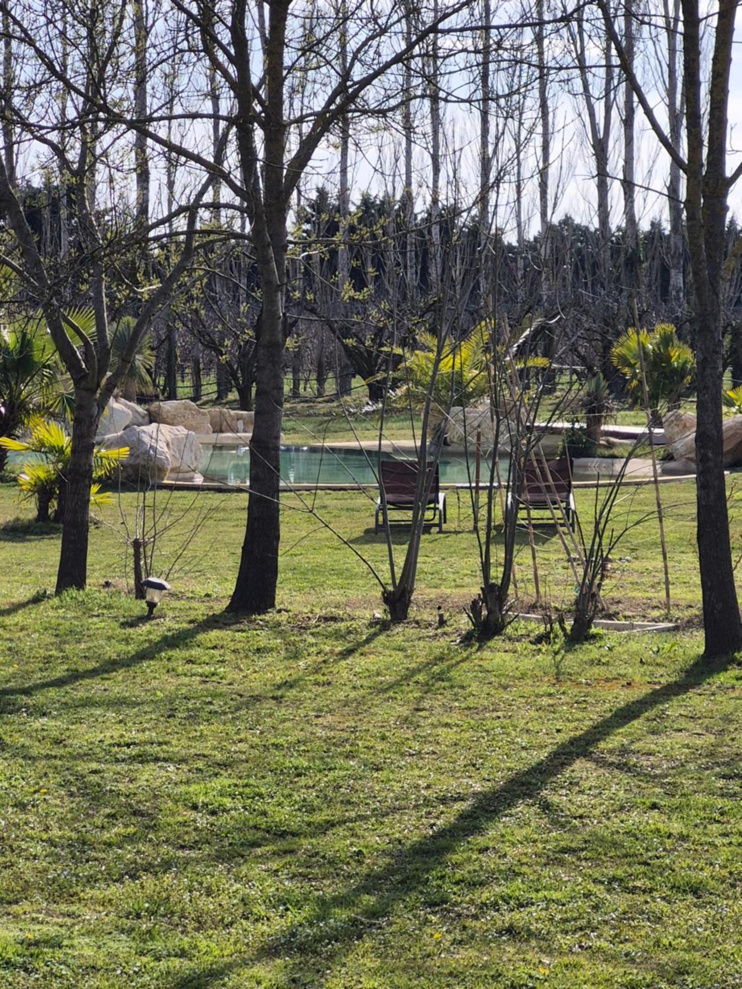 Le Mas Des Cerisiers Jacuzzi Et Sauna Inclus Pour Tous Les Logements Avignon Bagian luar foto